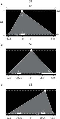 Playing ‘Pong’ Together: Emergent Coordination in a Doubles Interception Task